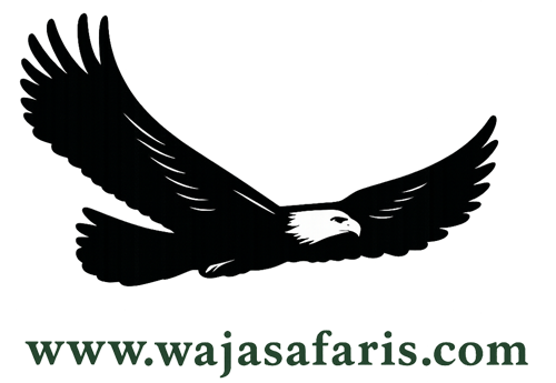 Logo Waja Safaris Tanzania