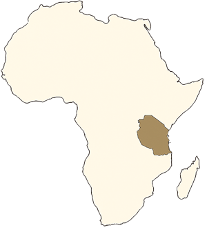 Safaris in Tanzania Africa exceptional journey